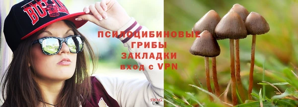 ГАЛЛЮЦИНОГЕННЫЕ ГРИБЫ Саяногорск