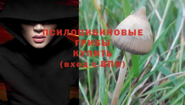 стафф Сафоново