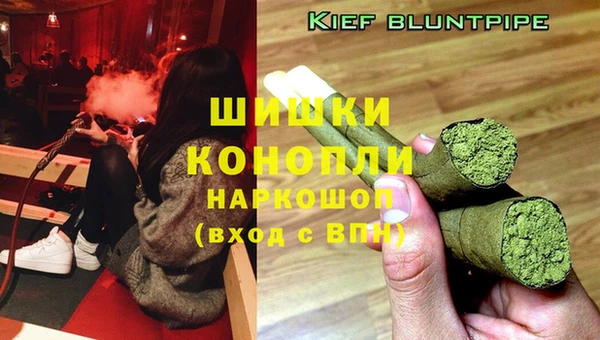 ГАЛЛЮЦИНОГЕННЫЕ ГРИБЫ Саяногорск