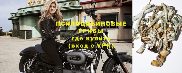 ГАЛЛЮЦИНОГЕННЫЕ ГРИБЫ Саяногорск