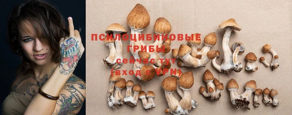 ГАЛЛЮЦИНОГЕННЫЕ ГРИБЫ Саяногорск